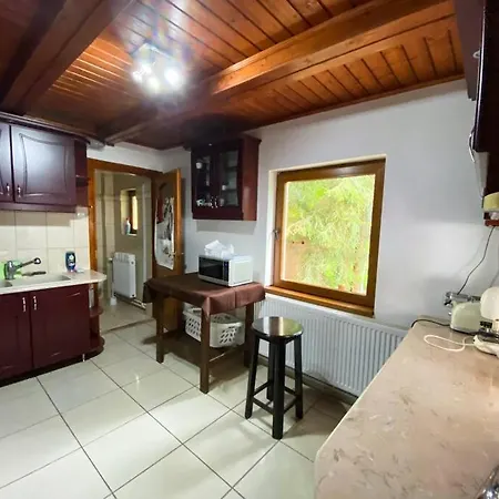 Marefalvi Vendeghaz Băile Homorod Exterior photo